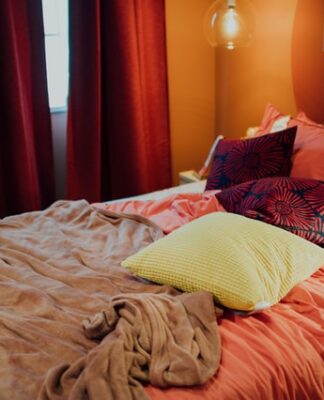 Can bedbugs live in cardboard?